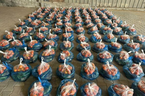 photo_2025-11-13 18.08.53