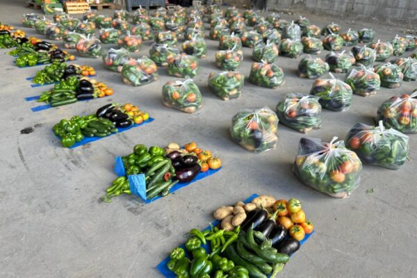 photo_2025-11-13 18.08.56